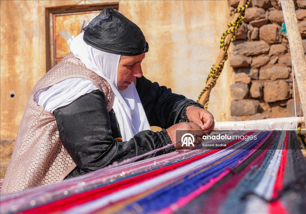 Bi tevna ku li baxçeyê xwe daniye va merş û xalîçeyan radiçîne