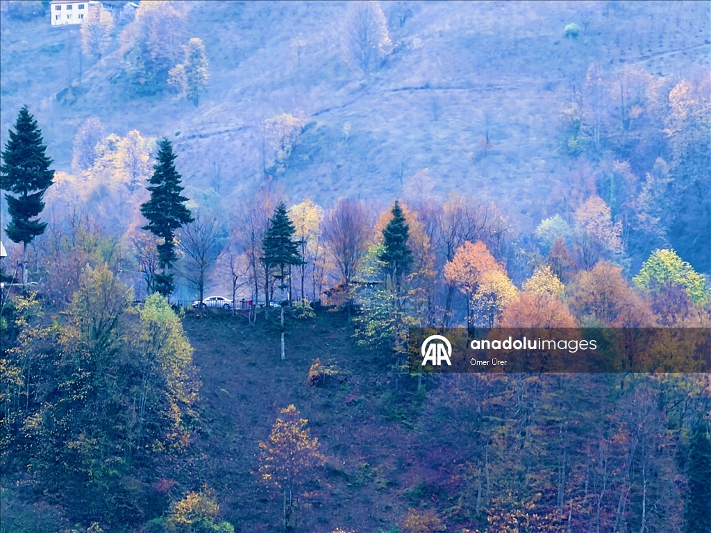 Autumn season in Turkiye's Duzce