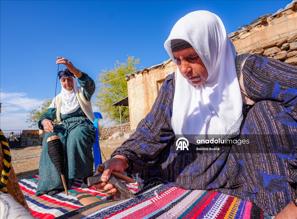 Bi tevna ku li baxçeyê xwe daniye va merş û xalîçeyan radiçîne