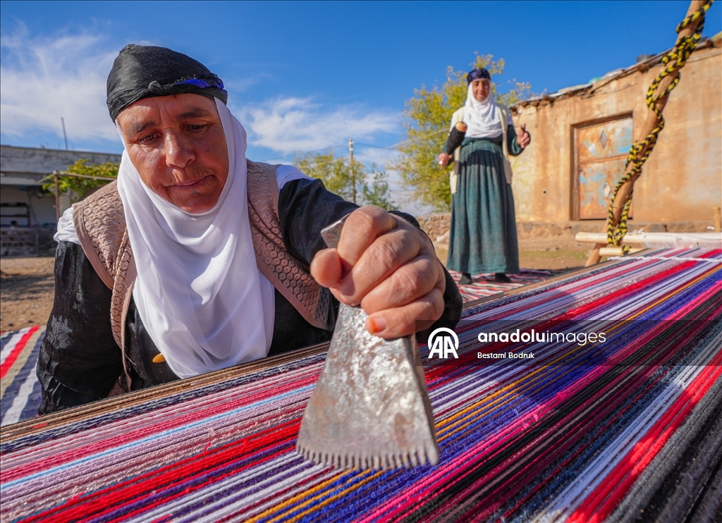 Bi tevna ku li baxçeyê xwe daniye va merş û xalîçeyan radiçîne
