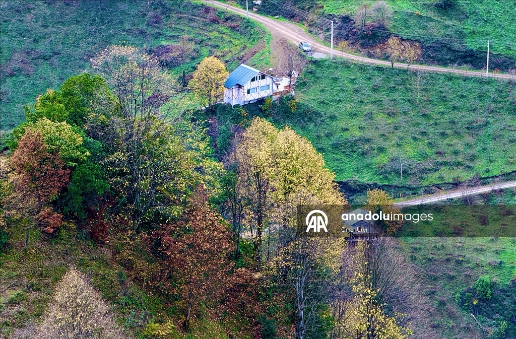 Autumn season in Turkiye's Duzce
