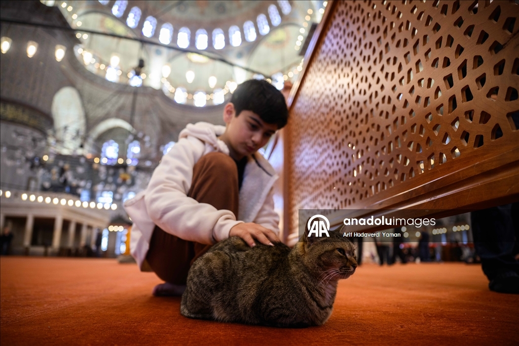 تحضيرا لزيارة بابا الفاتيكان.. ترتيبات تركية في دور العبادة بإسطنبول