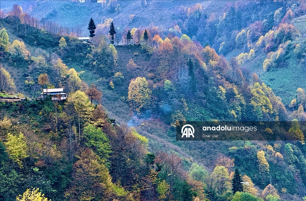 Autumn season in Turkiye's Duzce