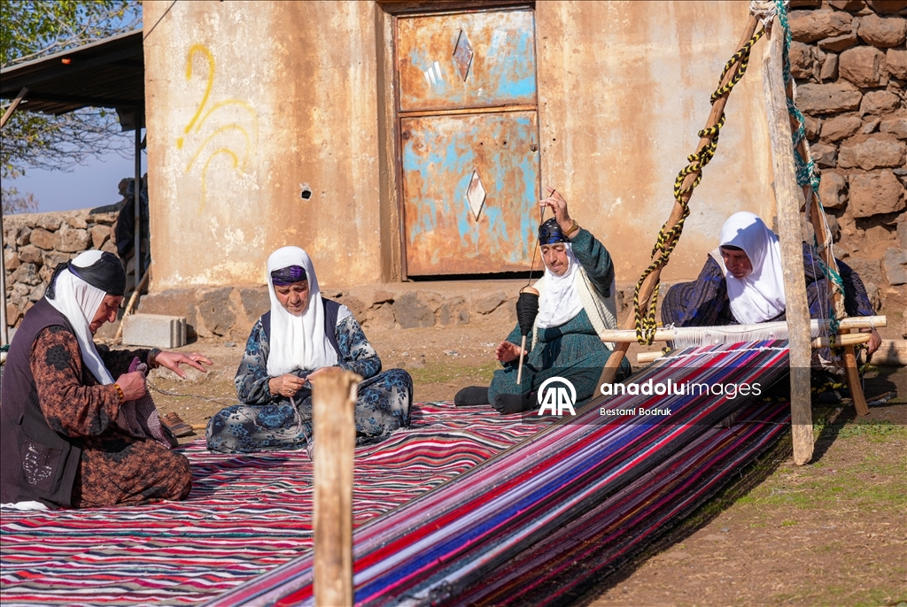 Bi tevna ku li baxçeyê xwe daniye va merş û xalîçeyan radiçîne