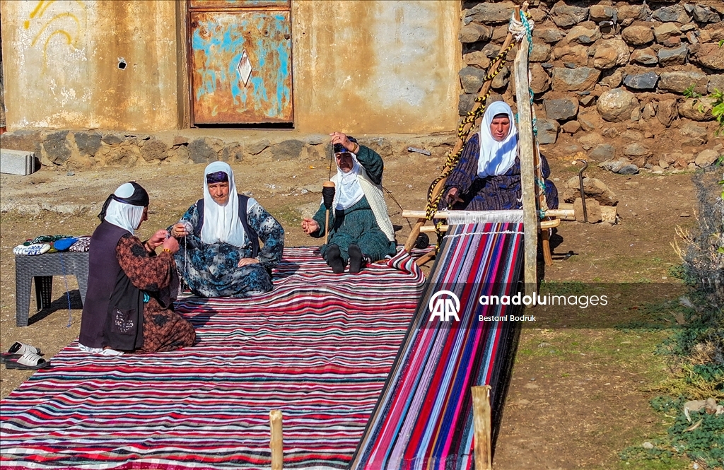 Bi tevna ku li baxçeyê xwe daniye va merş û xalîçeyan radiçîne