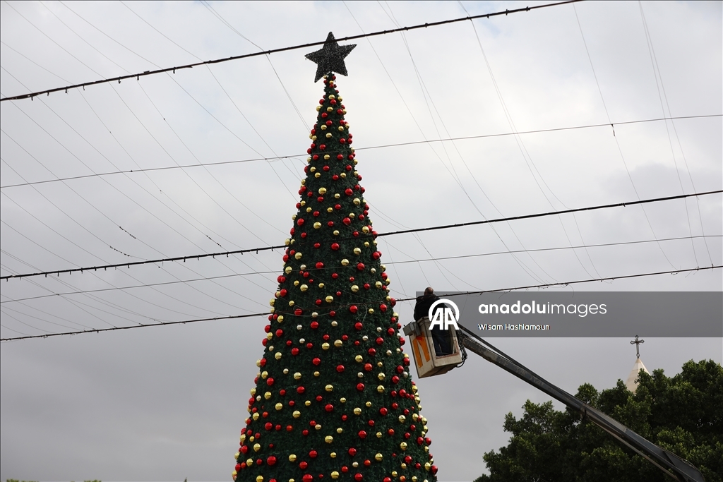 بشجرة "الصمود".. بيت لحم تتزين لعيد الميلاد