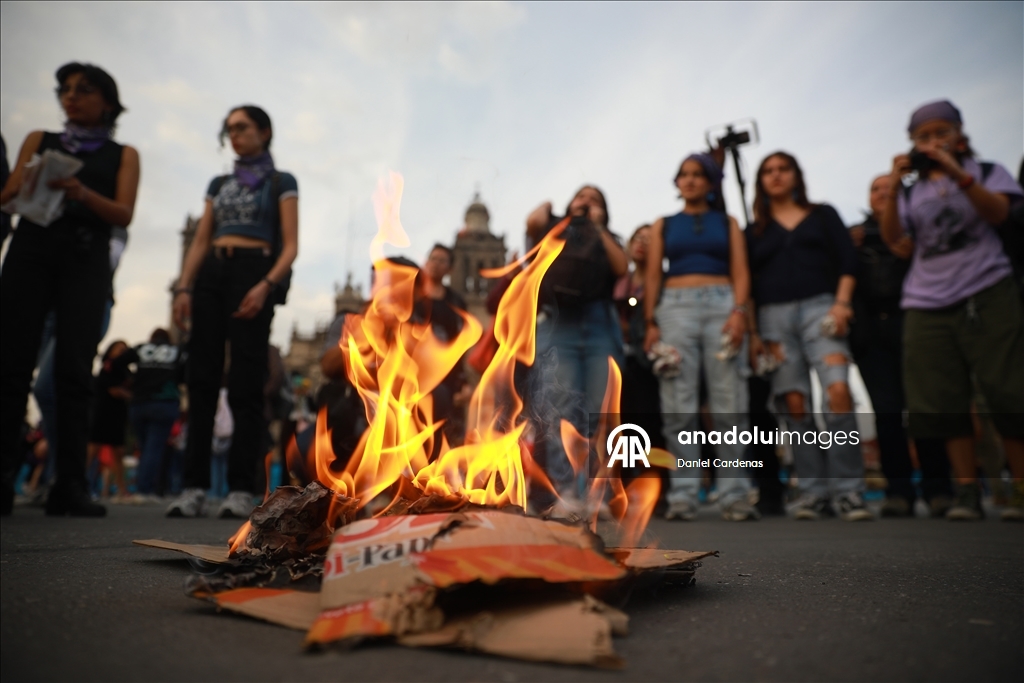 International Day for the Elimination of Violence against Women in Mexico