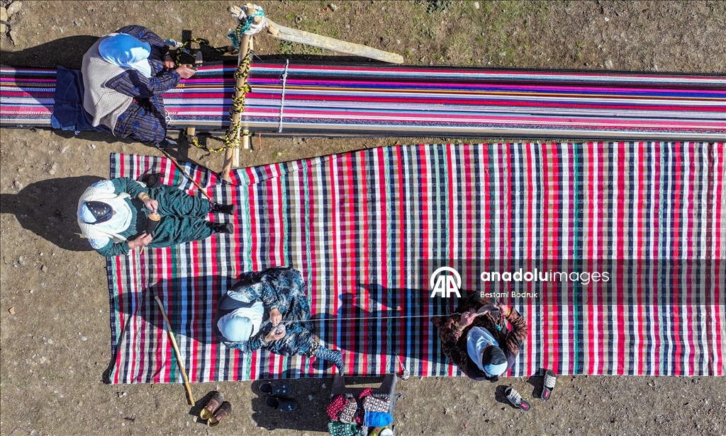 Bi tevna ku li baxçeyê xwe daniye va merş û xalîçeyan radiçîne