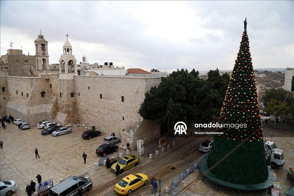 بشجرة "الصمود".. بيت لحم تتزين لعيد الميلاد