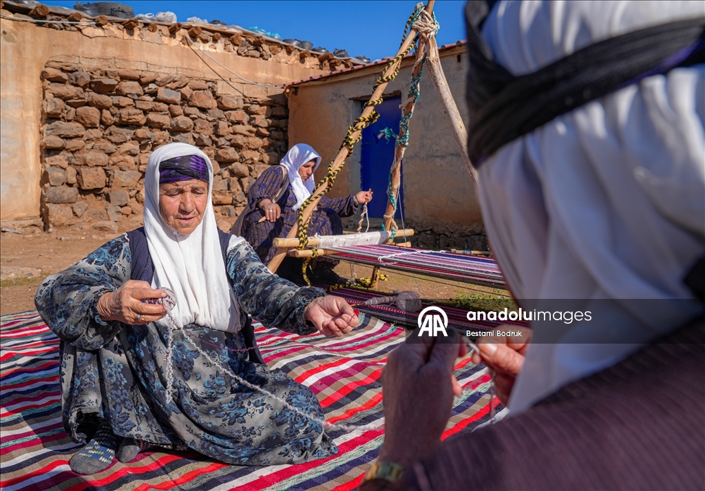 Bi tevna ku li baxçeyê xwe daniye va merş û xalîçeyan radiçîne