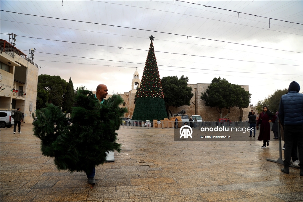 بشجرة "الصمود".. بيت لحم تتزين لعيد الميلاد