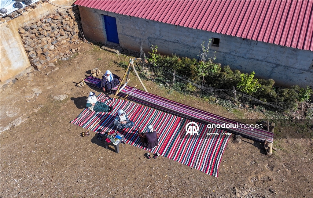 Bi tevna ku li baxçeyê xwe daniye va merş û xalîçeyan radiçîne