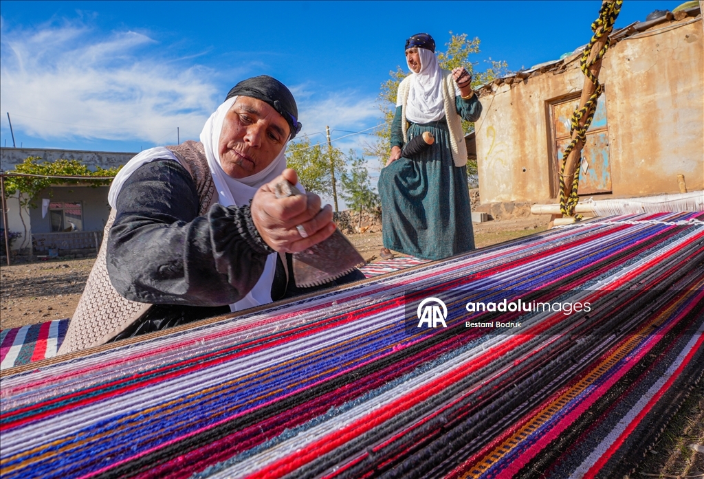 Bi tevna ku li baxçeyê xwe daniye va merş û xalîçeyan radiçîne