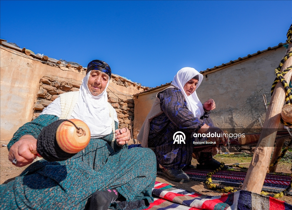 Bi tevna ku li baxçeyê xwe daniye va merş û xalîçeyan radiçîne