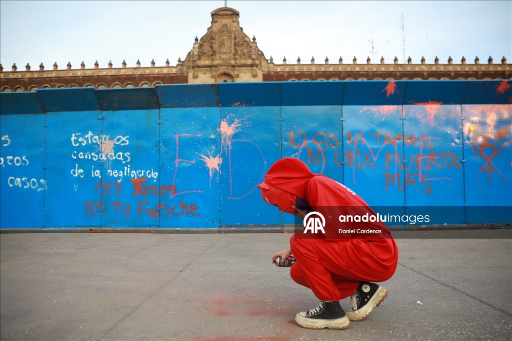 International Day for the Elimination of Violence against Women in Mexico