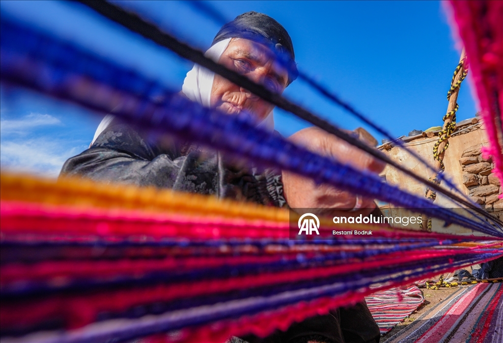 Bi tevna ku li baxçeyê xwe daniye va merş û xalîçeyan radiçîne