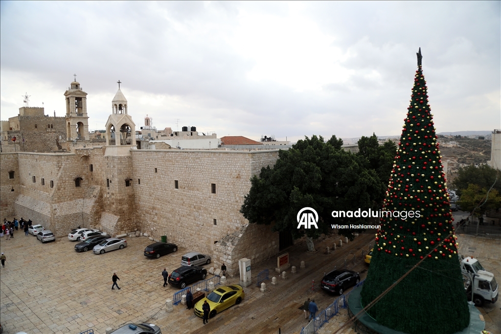 بشجرة "الصمود".. بيت لحم تتزين لعيد الميلاد