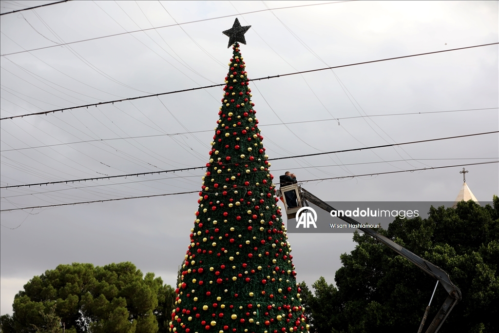 بشجرة "الصمود".. بيت لحم تتزين لعيد الميلاد