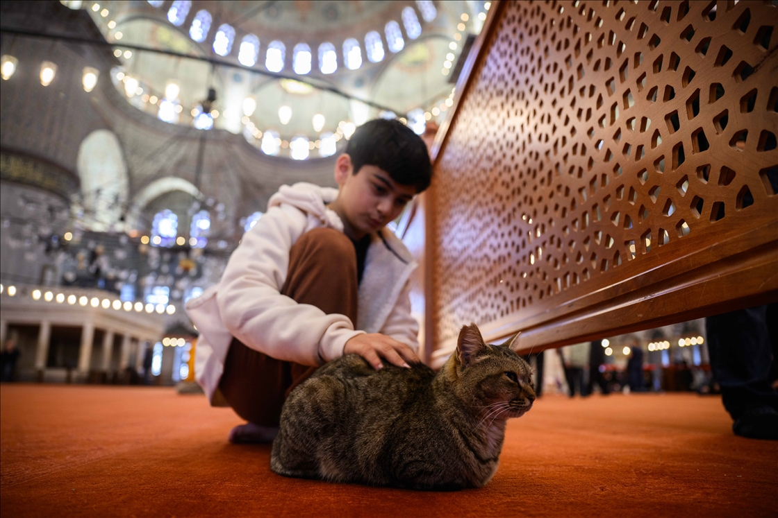 تحضيرا لزيارة بابا الفاتيكان.. ترتيبات تركية في دور العبادة بإسطنبول