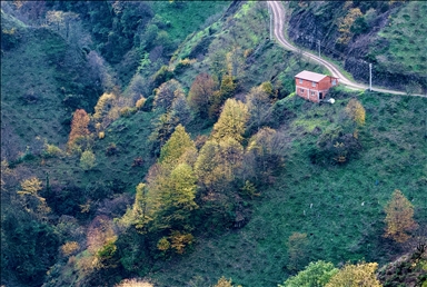 Autumn season in Turkiye's Duzce