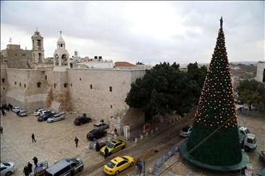 بشجرة "الصمود".. بيت لحم تتزين لعيد الميلاد