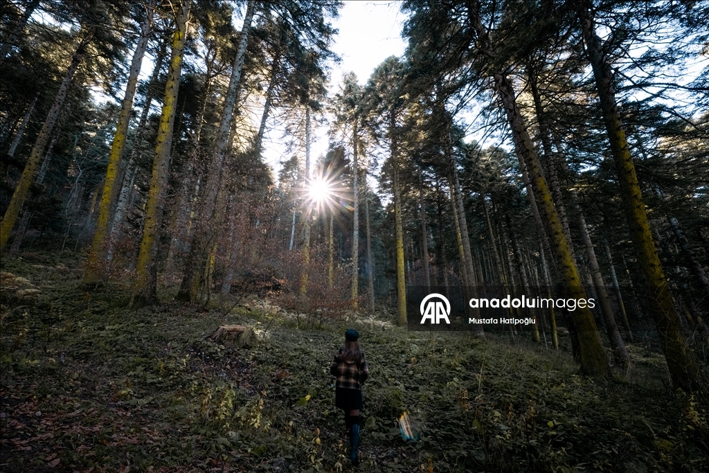 Яркие краски осени в природном парке Гельджюк