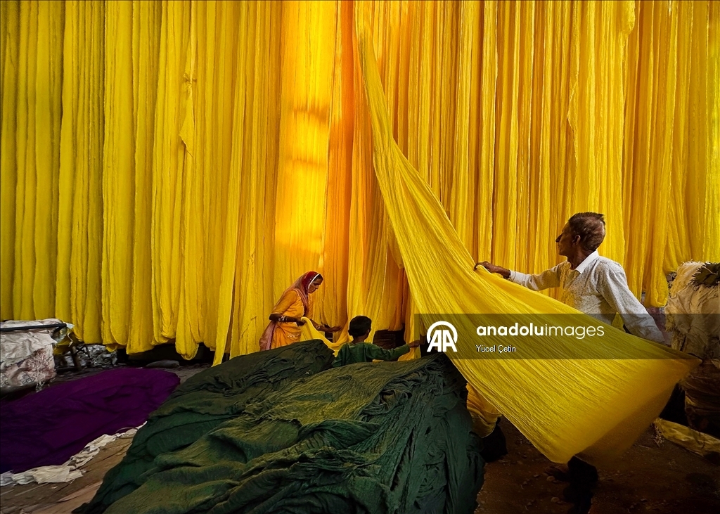 Hindistan'da geleneksel saree kumaşları atölyelerde asırlık yöntemlerle hazırlanıyor