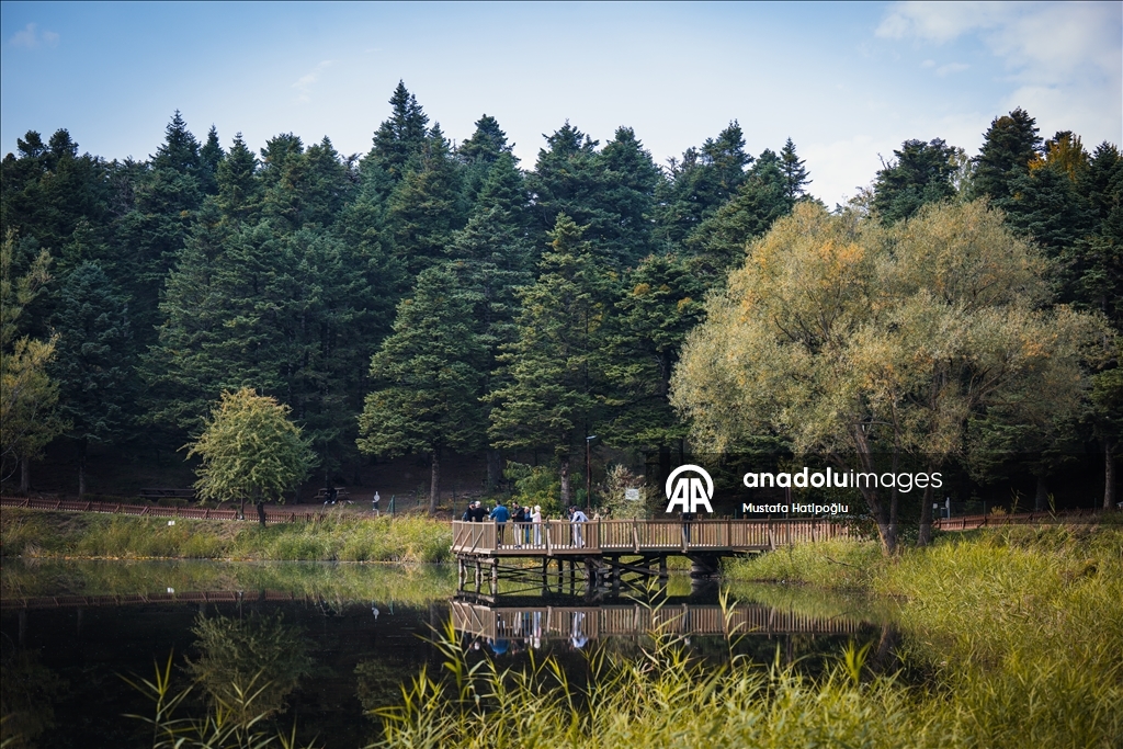 Яркие краски осени в природном парке Гельджюк