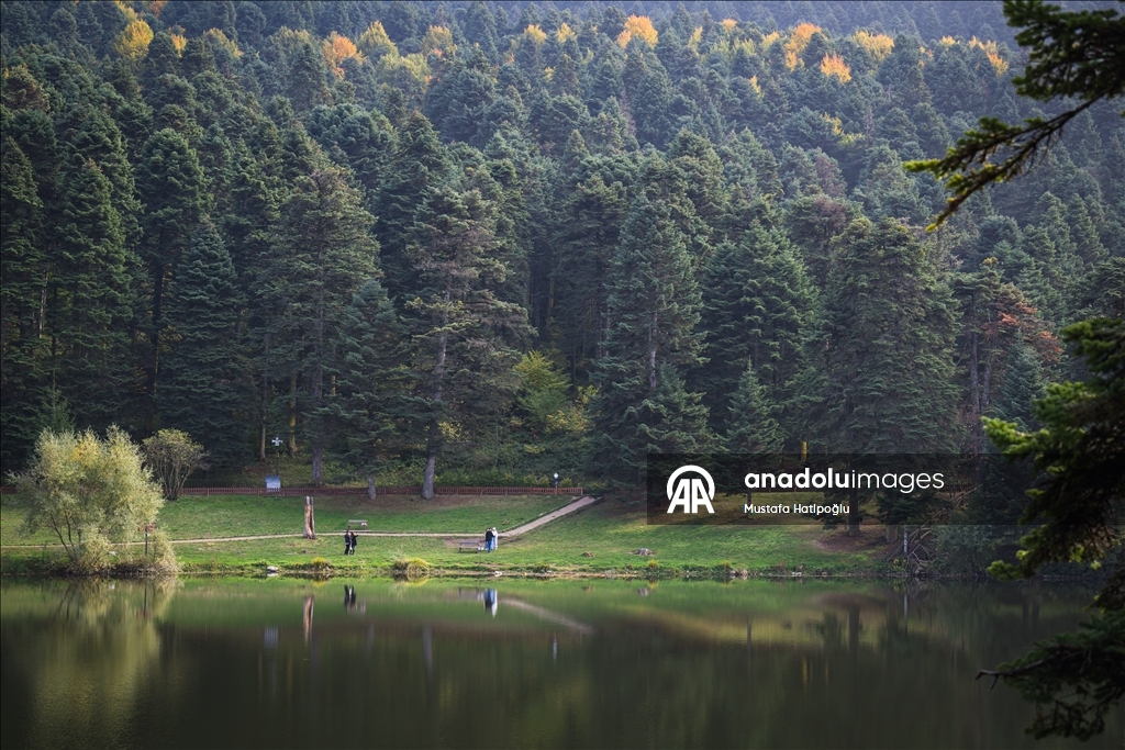 Яркие краски осени в природном парке Гельджюк