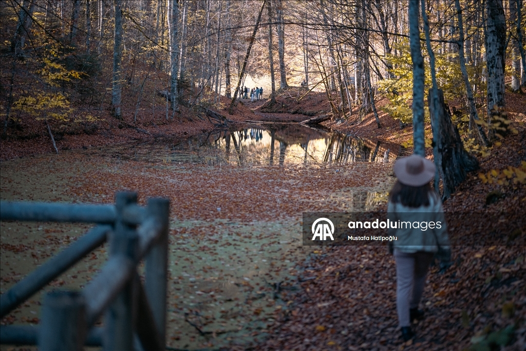Яркие краски осени в природном парке Гельджюк