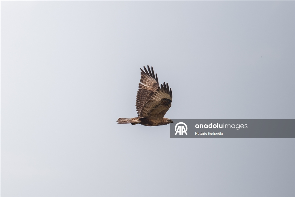 Яркие краски осени в природном парке Гельджюк