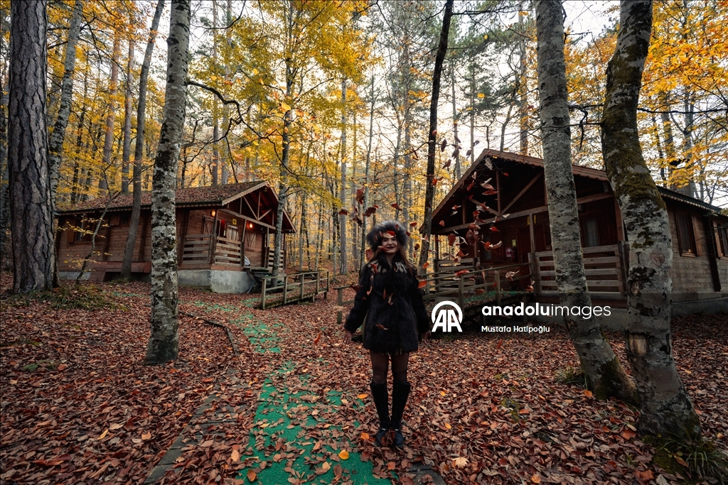 Яркие краски осени в природном парке Гельджюк