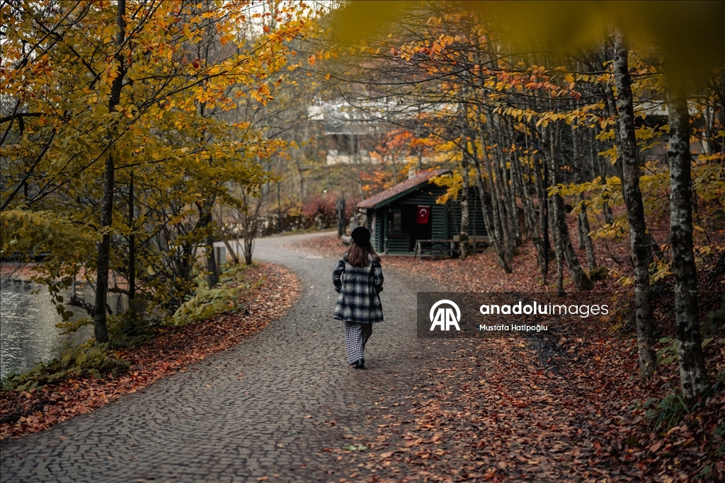 Яркие краски осени в природном парке Гельджюк