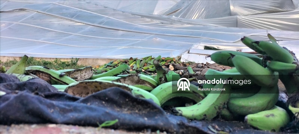 Antalya'nın Manavgat ilçesinde hortum nedeniyle 4 sera hasar gördü