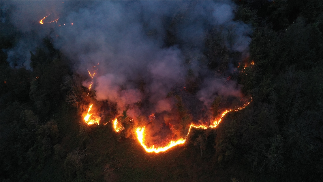 Artvin'de örtü yangınına müdahale ediliyor