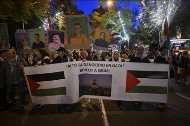 В более чем 40 городах Испании прошли акции в поддержку Палестины