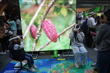 В Колумбии производители шоколада встретились с посетителями на ChocoShow