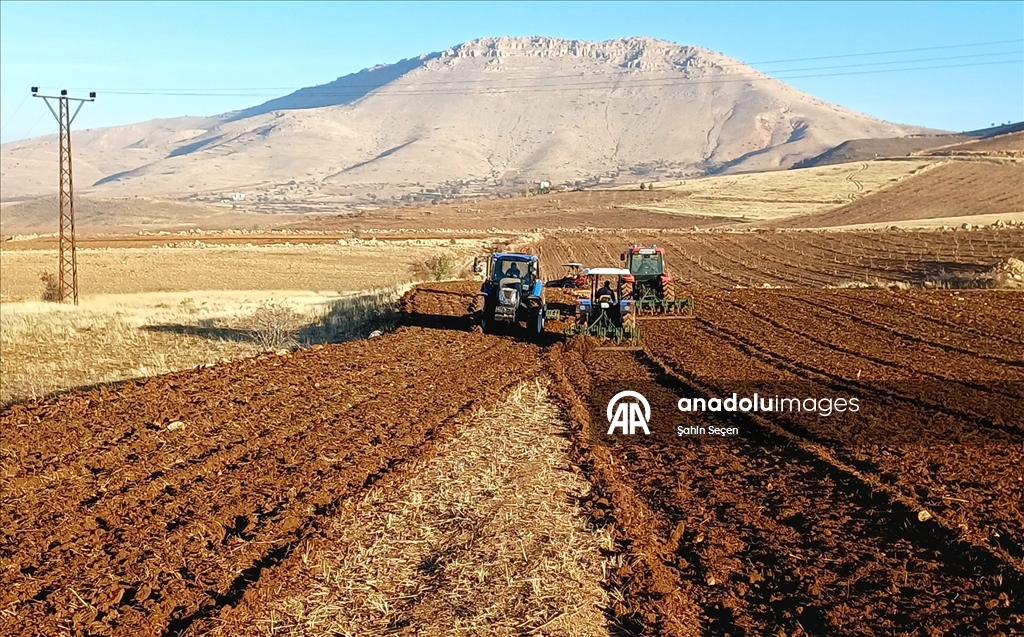 Batman'ın bereketli topraklarında hububat ve baklagil ekimi mesaisi sürüyor