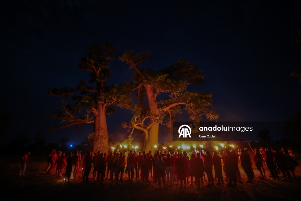 Культурное погружение в лесу баобабов Сенегала