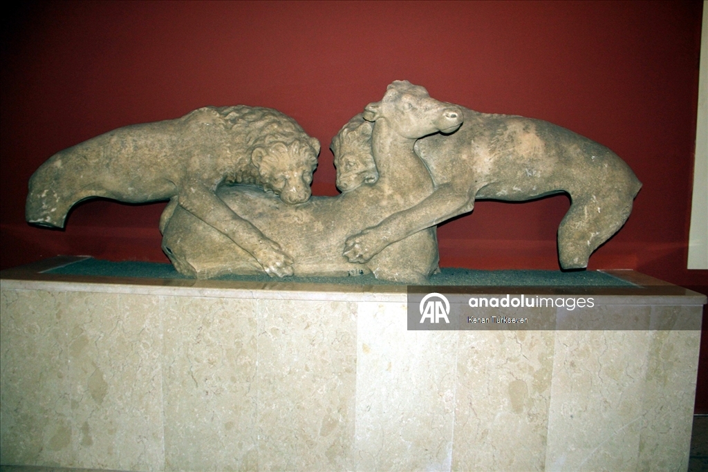 Her yerinden tarih fışkıran Sinop'ta tarihi eserler titizlikle çıkarılıyor