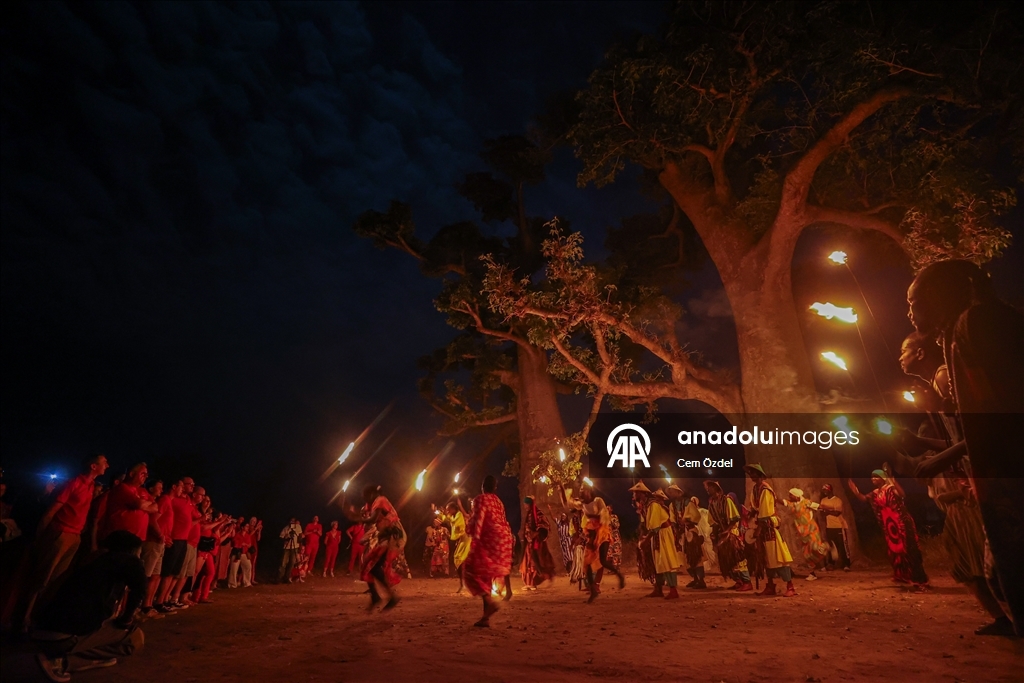 Культурное погружение в лесу баобабов Сенегала