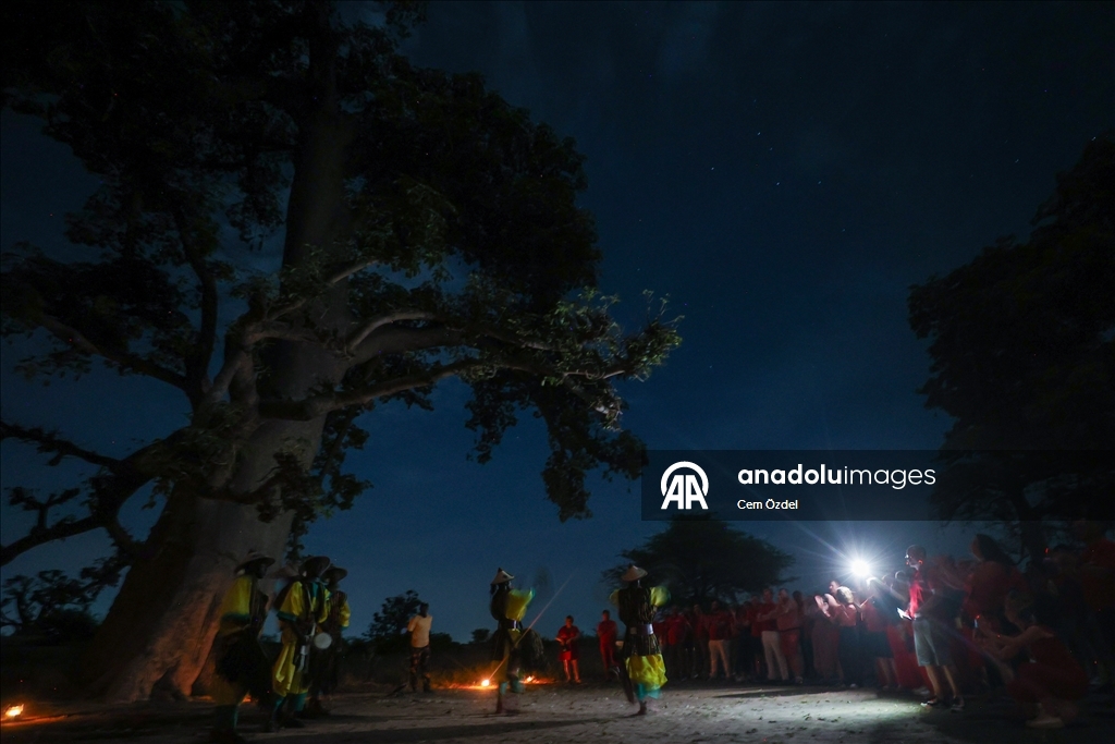 Культурное погружение в лесу баобабов Сенегала