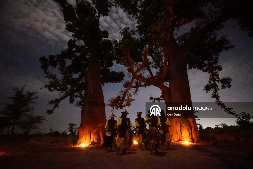 Культурное погружение в лесу баобабов Сенегала
