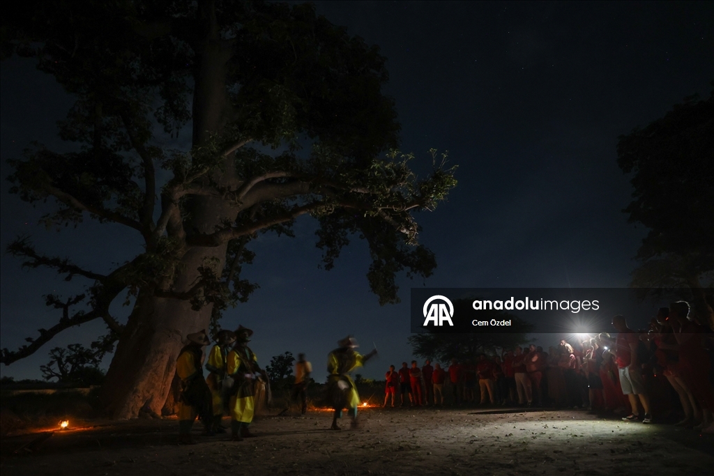 Культурное погружение в лесу баобабов Сенегала