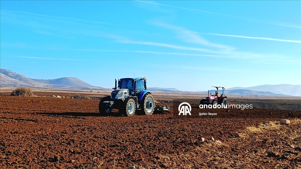 Batman'ın bereketli topraklarında hububat ve baklagil ekimi mesaisi sürüyor