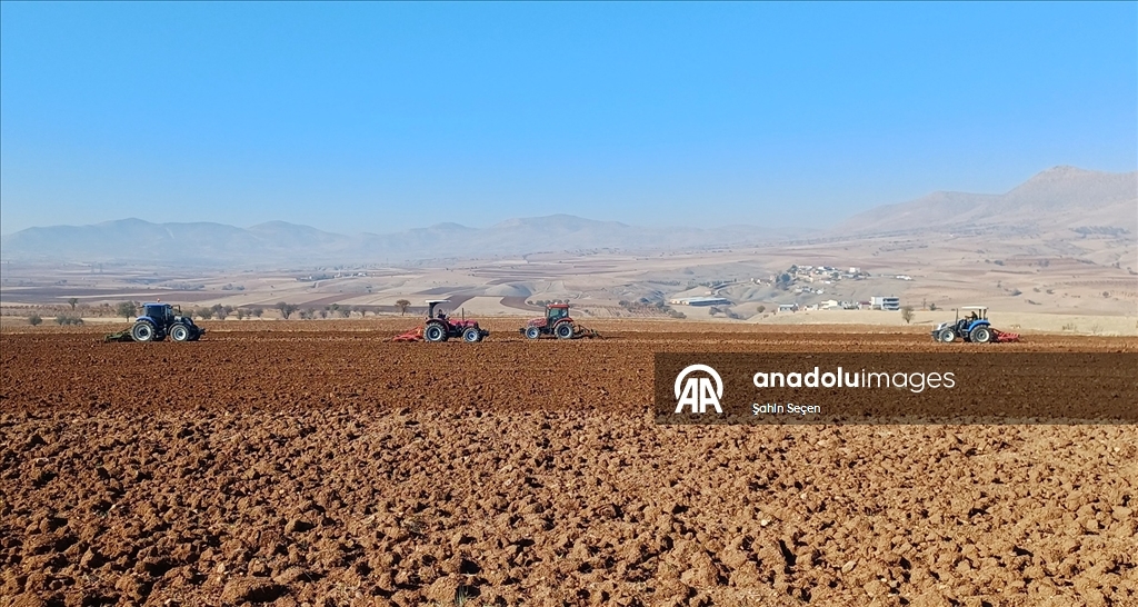 Batman'ın bereketli topraklarında hububat ve baklagil ekimi mesaisi sürüyor