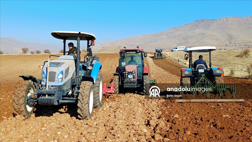 Batman'ın bereketli topraklarında hububat ve baklagil ekimi mesaisi sürüyor