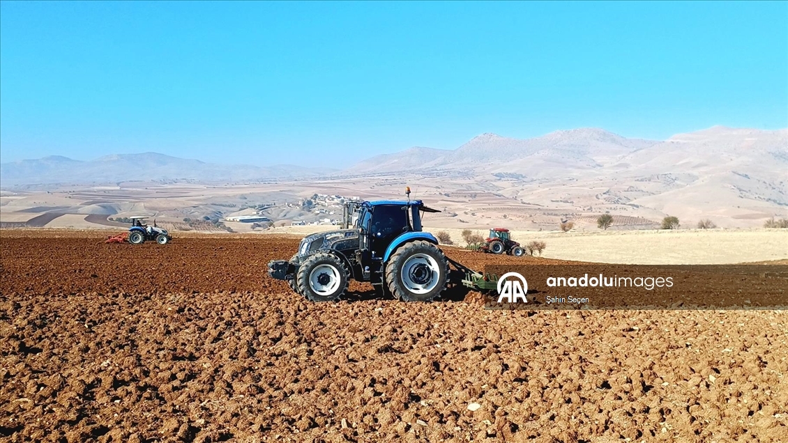 Batman'ın bereketli topraklarında hububat ve baklagil ekimi mesaisi sürüyor