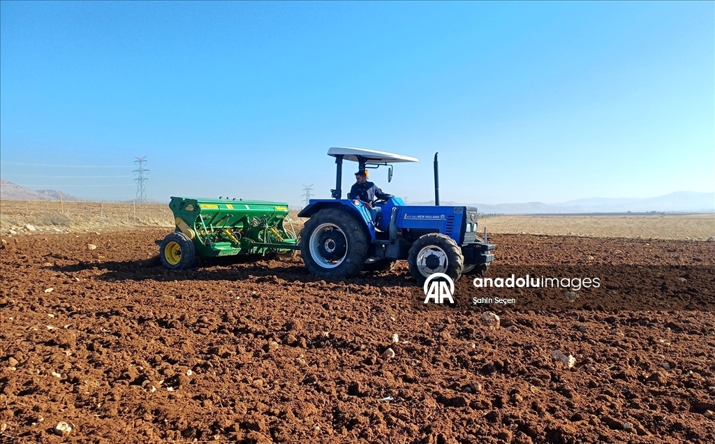 Batman'ın bereketli topraklarında hububat ve baklagil ekimi mesaisi sürüyor