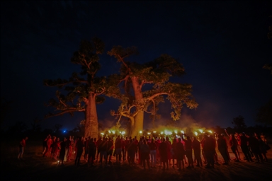 Культурное погружение в лесу баобабов Сенегала